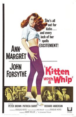 Kitten With a Whip! A Delicious Slice of 1960s Exploitation Cinema with a Dash of Noir!